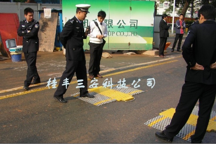 供应便携式称重仪